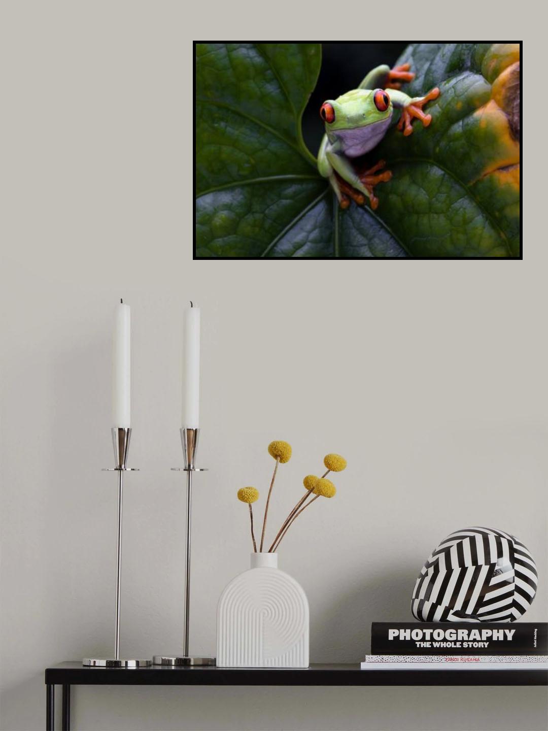 Frog Peeping Poster och Canvastavla
