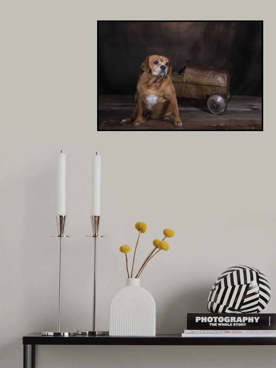 Buddy Poster och Canvastavla