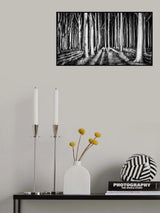 Ghost Forest Poster och Canvastavla