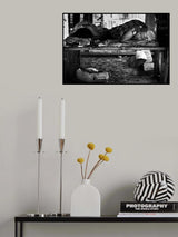 resting, no matter where... Poster och Canvastavla