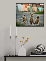 The Three Musketeers Poster och Canvastavla