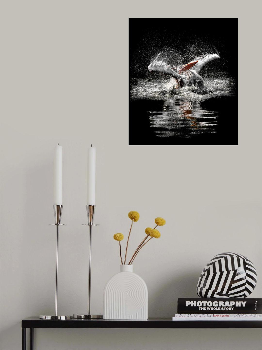 ...splashing Poster och Canvastavla