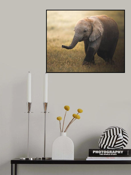 Falafelo Poster och Canvastavla