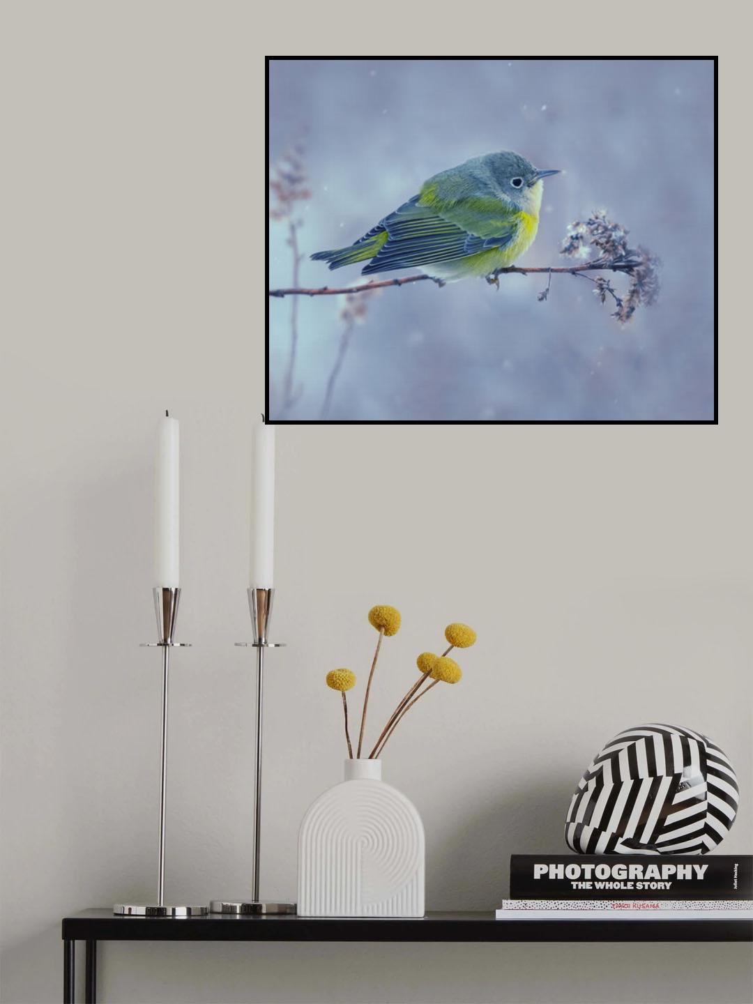 Poster och Canvastavla