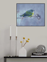 Poster och Canvastavla