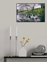 Ophelia Poster och Canvastavla