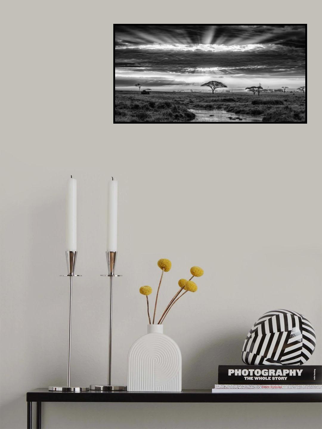 Monochrome sunrise Poster och Canvastavla