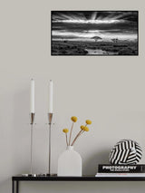 Monochrome sunrise Poster och Canvastavla