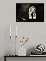 n/t Poster och Canvastavla