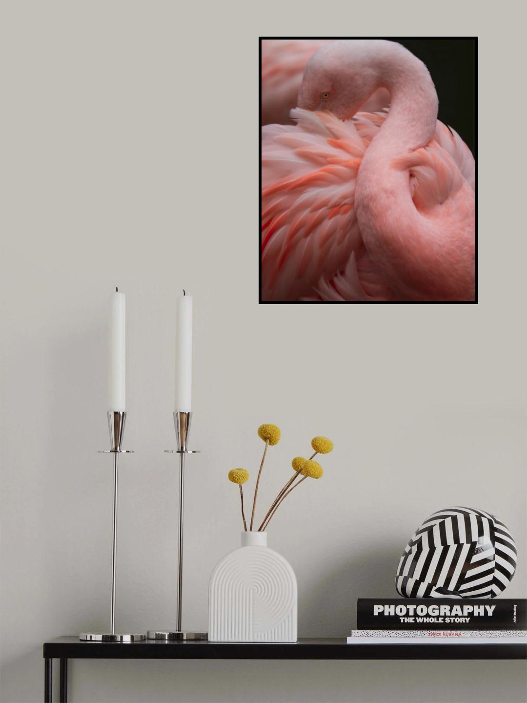 So many feathers Poster och Canvastavla