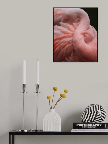 So many feathers Poster och Canvastavla