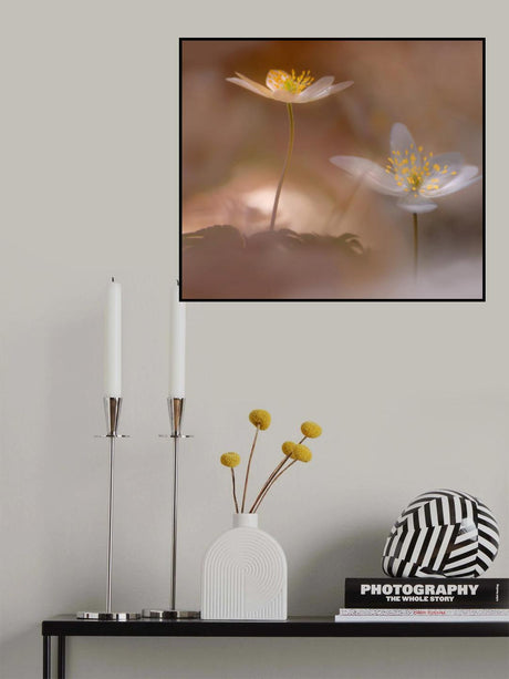 Freshness. Poster och Canvastavla