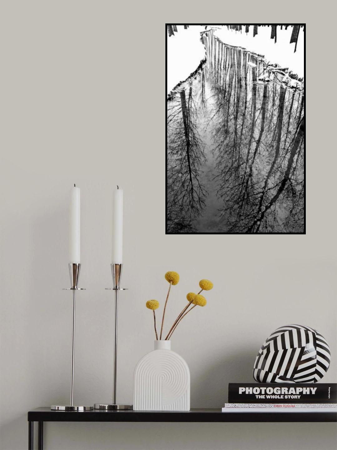 diving Poster och Canvastavla