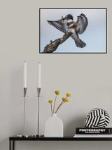 My prize. Poster och Canvastavla