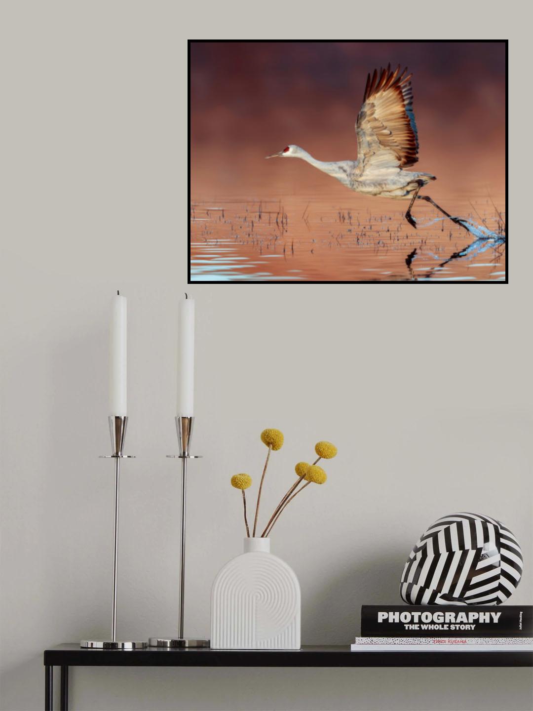 Taking Off Poster och Canvastavla