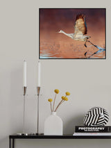 Taking Off Poster och Canvastavla