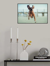 ....up, up to the sky.... Poster och Canvastavla