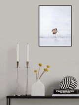 Dunlin standing in water Poster och Canvastavla