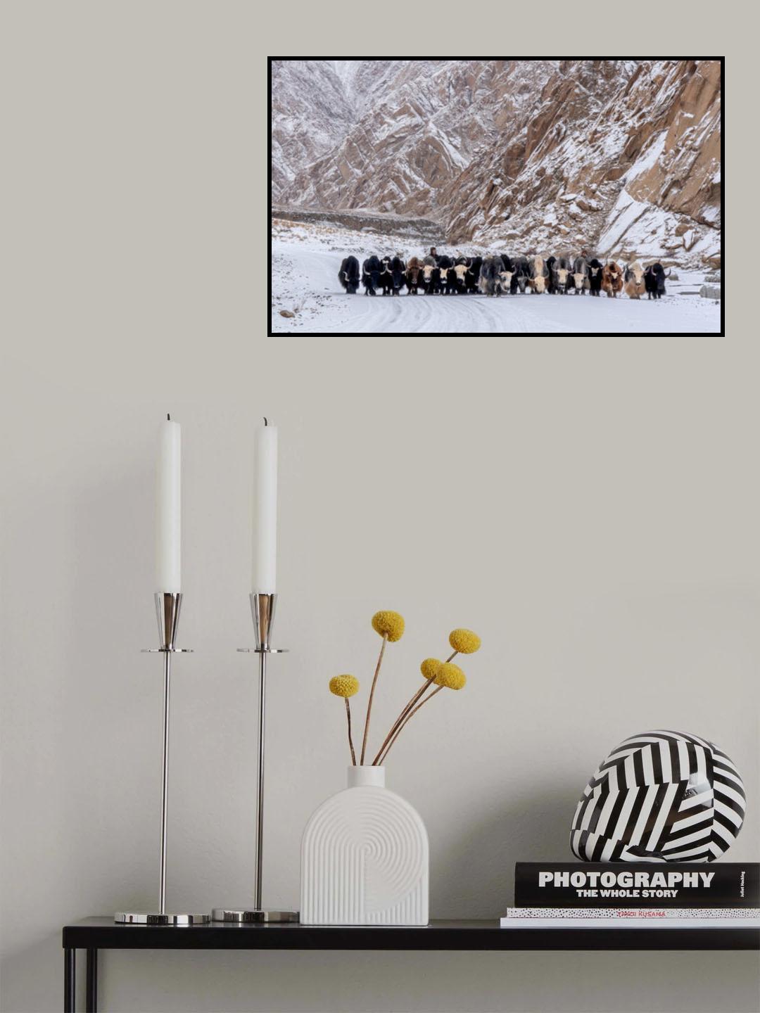 Yak Yak Poster och Canvastavla