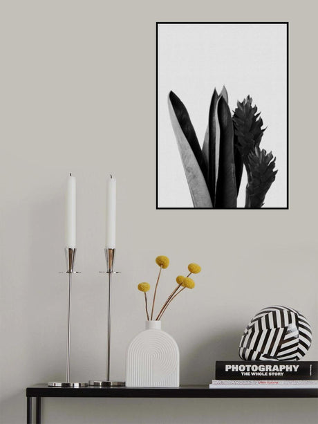 Flower Black & White Poster och Canvastavla