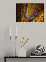 Serpentine column Poster och Canvastavla