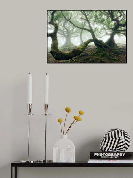 Mystic Laurel Forest Poster och Canvastavla