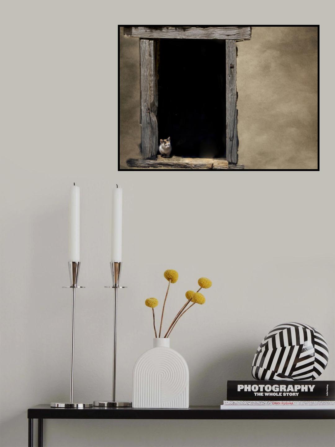 How much is that kitty in the window Poster och Canvastavla