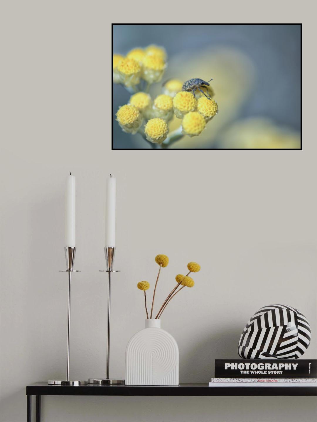 A funny bug, isn't it ? Poster och Canvastavla