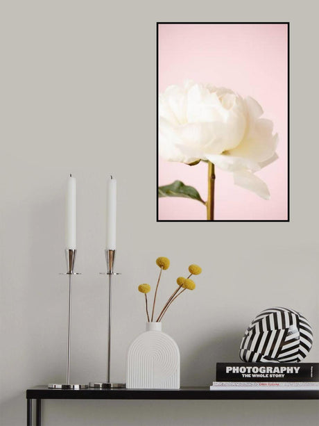 Peony_12 Poster och Canvastavla