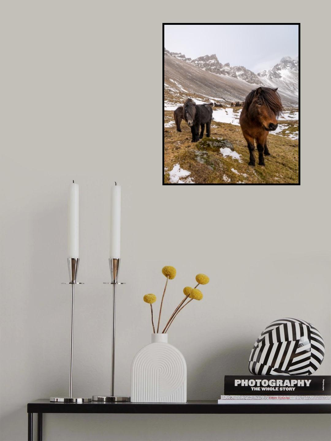 Resilience Poster och Canvastavla