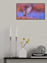 Dancing Poster och Canvastavla