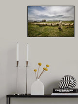 shepherd Poster och Canvastavla