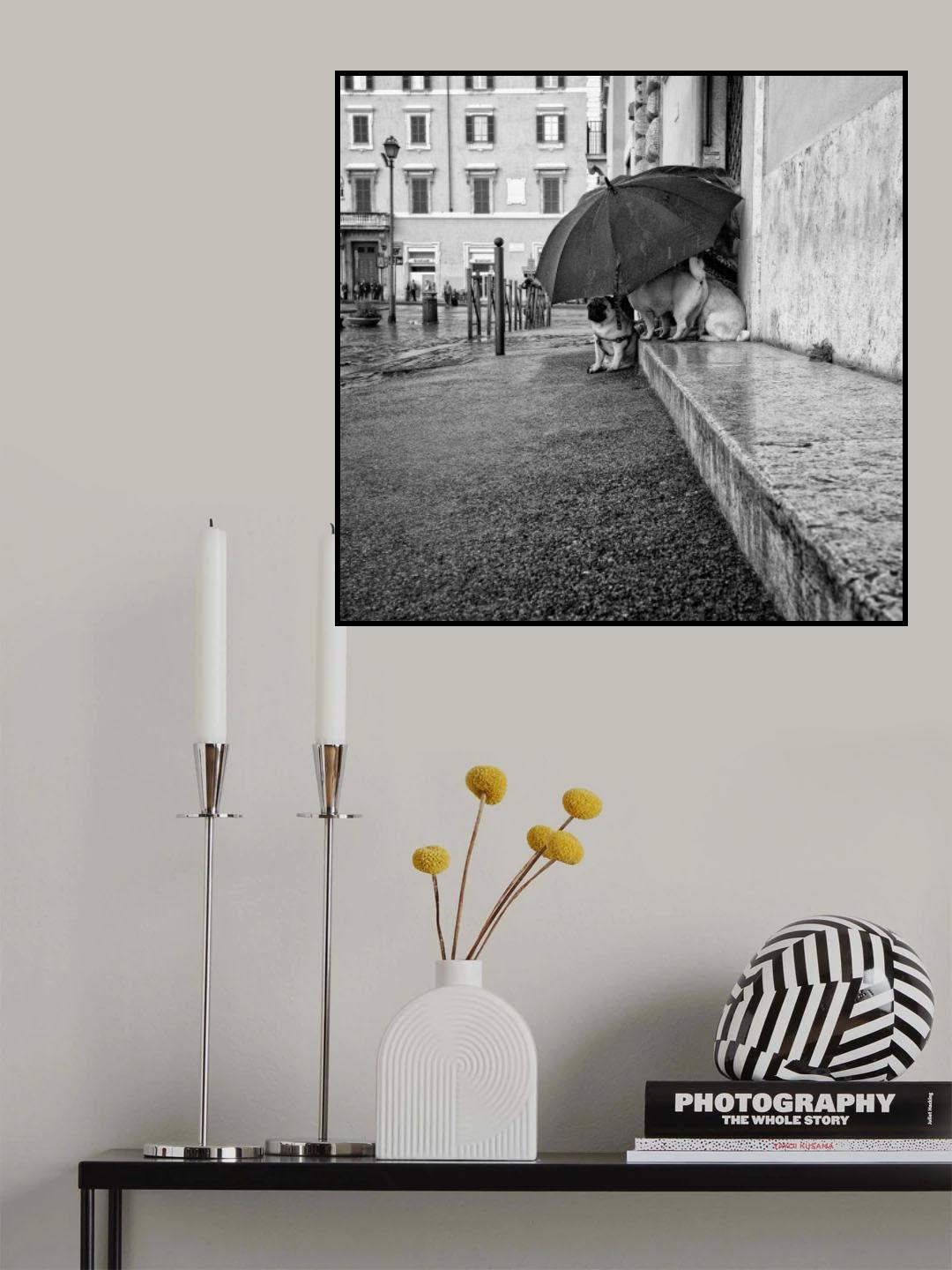 The shelter Poster och Canvastavla