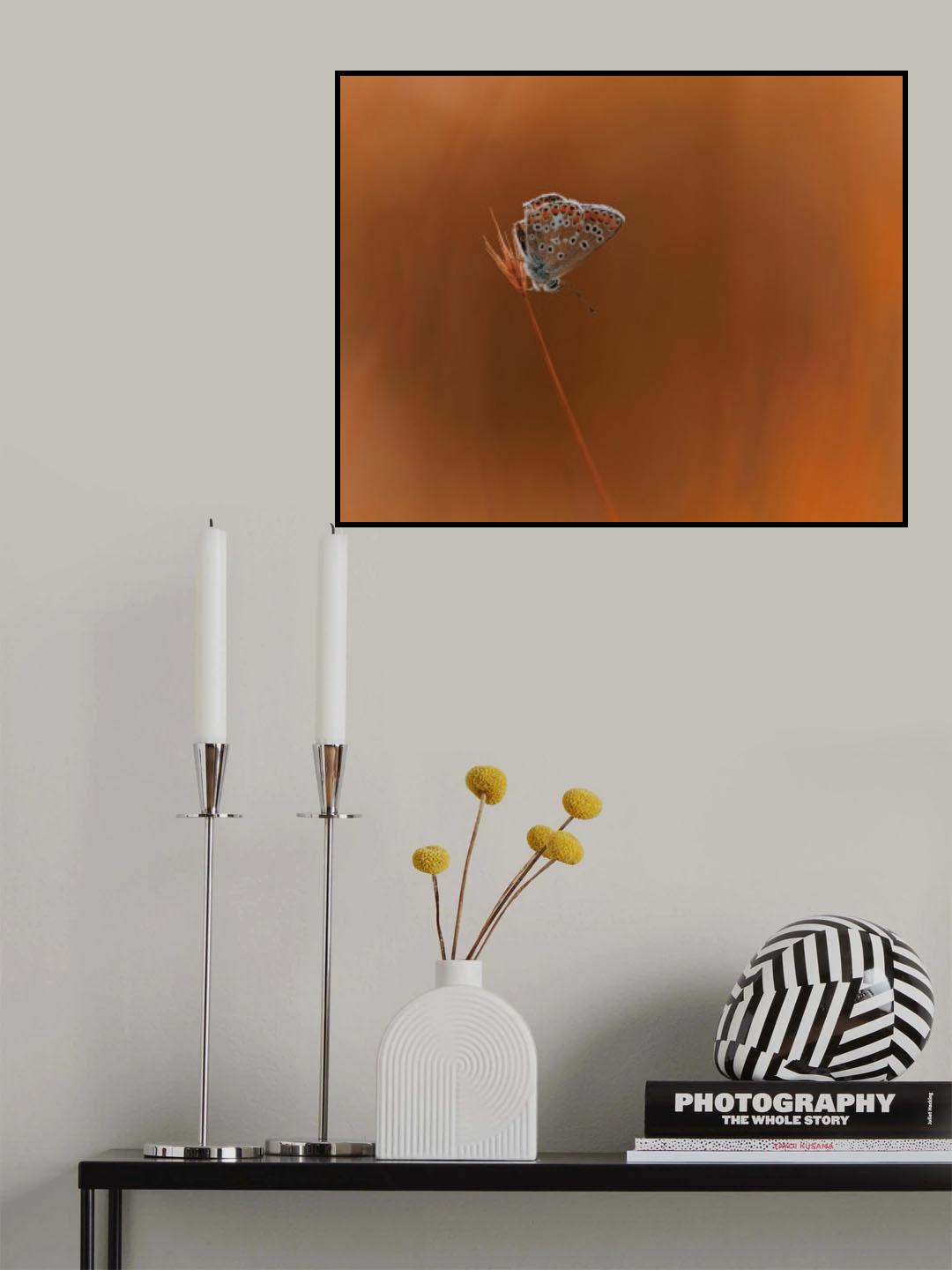 Summer to Autumn Poster och Canvastavla
