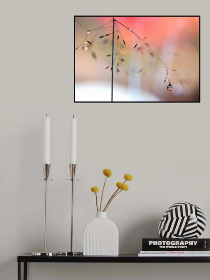 Morning glow Poster och Canvastavla