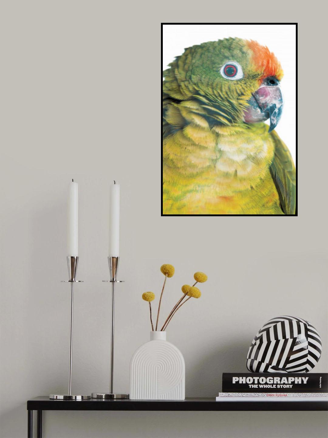 Parrot Poster och Canvastavla