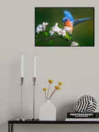Catch Poster och Canvastavla