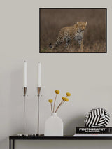 beauty Poster och Canvastavla