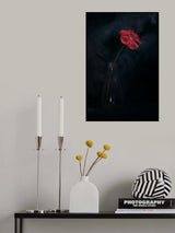 Flowers №2 Poster och Canvastavla
