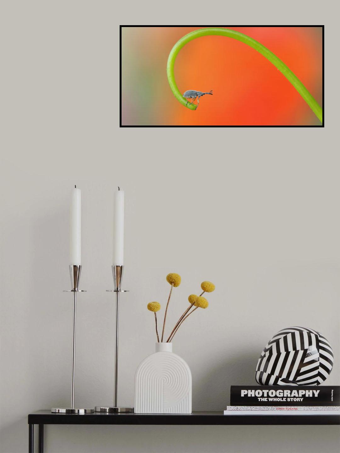 Contemplation of the sunset... Poster och Canvastavla