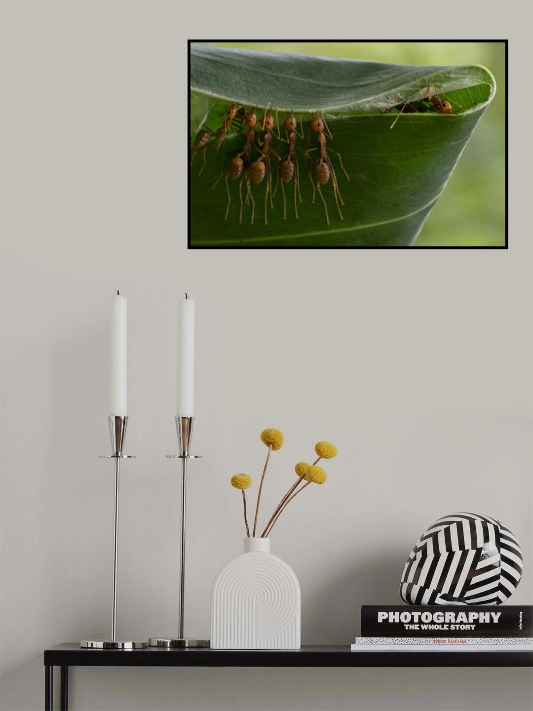 New House Poster och Canvastavla