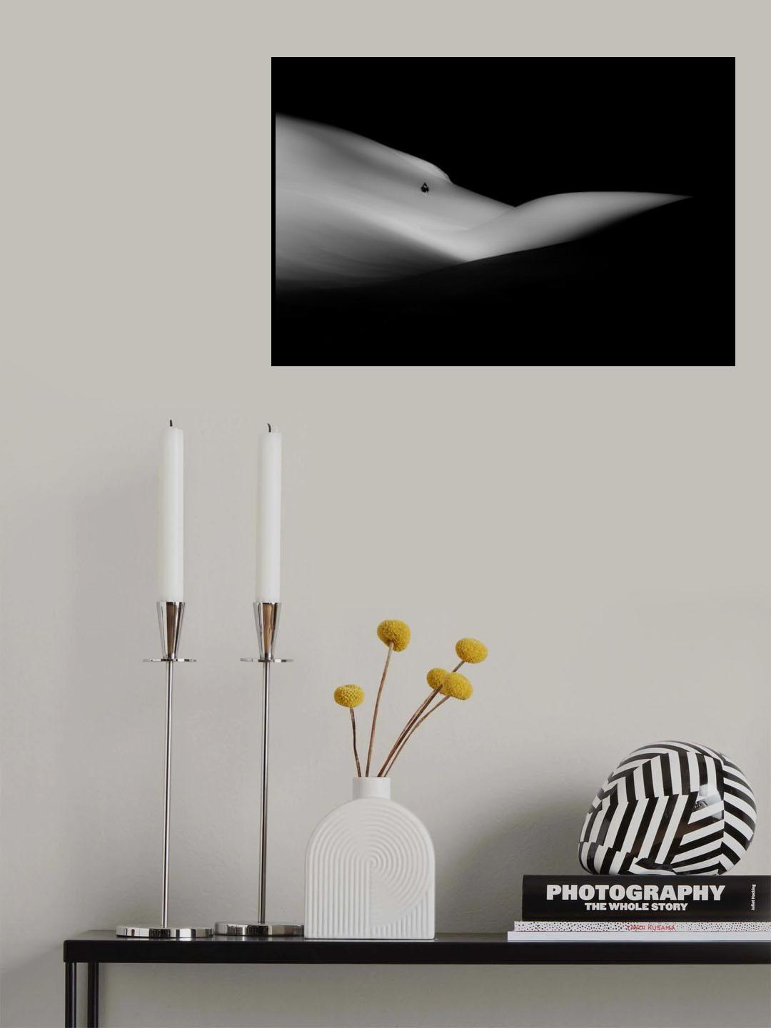 Elephant sleeping a white dream Poster och Canvastavla