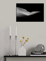 Elephant sleeping a white dream Poster och Canvastavla