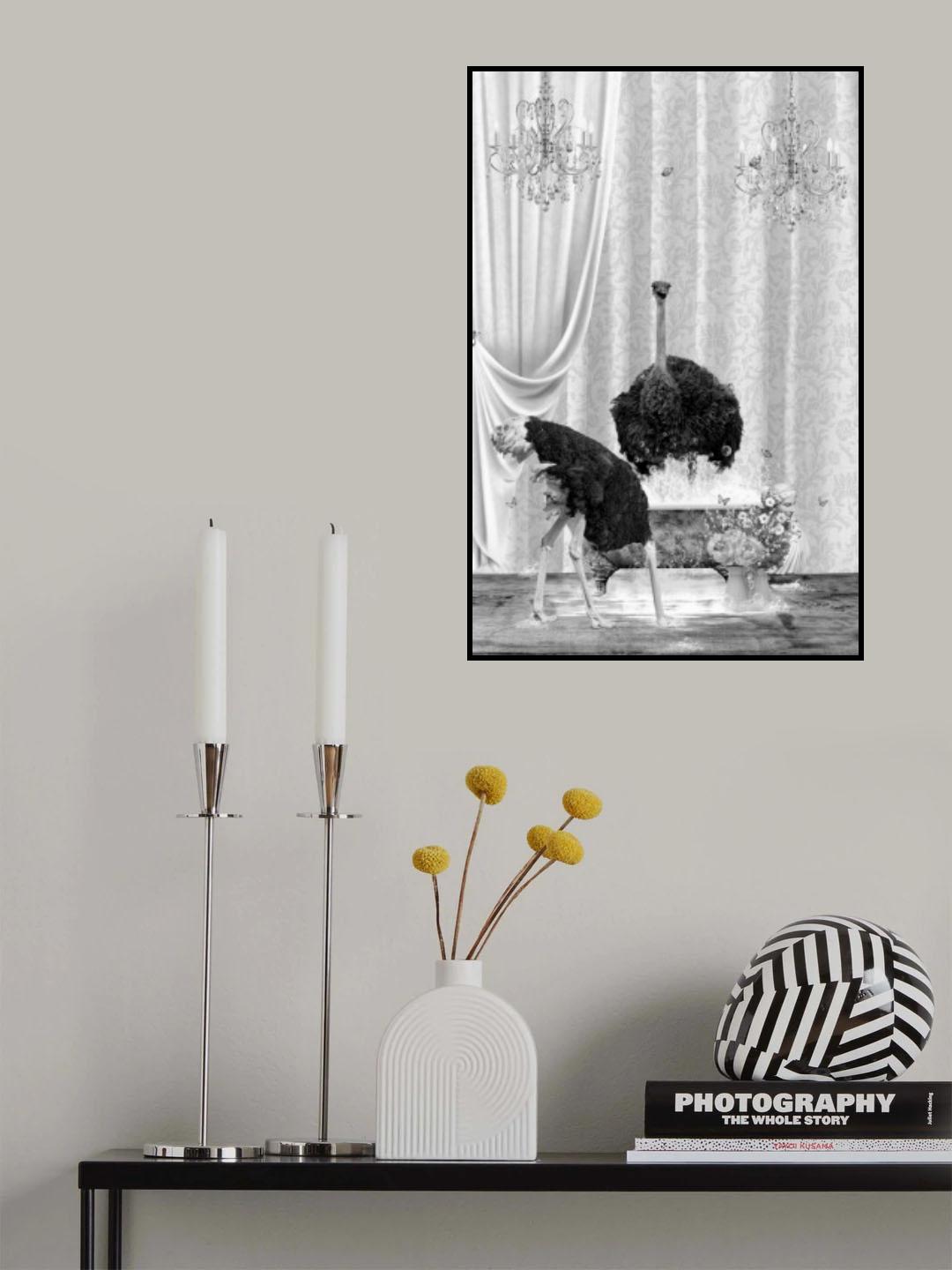Ostriches &amp; Bubble Black &amp; White Poster och Canvastavla