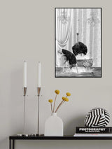 Ostriches &amp; Bubble Black &amp; White Poster och Canvastavla