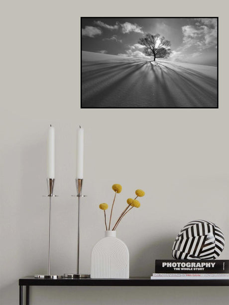 Tree Shadow Poster och Canvastavla