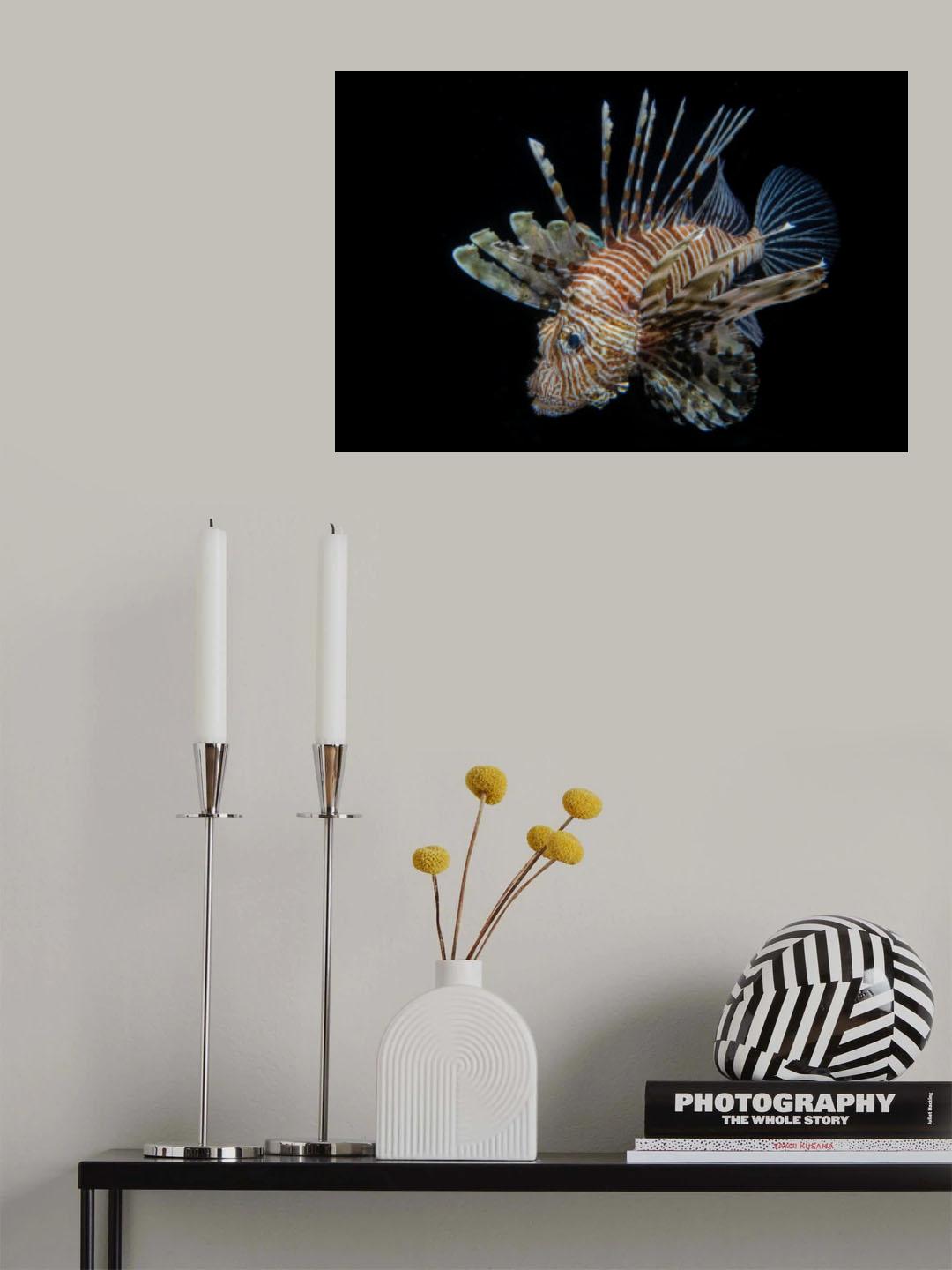 Night predator Poster och Canvastavla