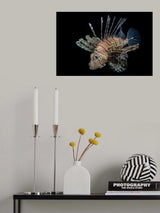 Night predator Poster och Canvastavla