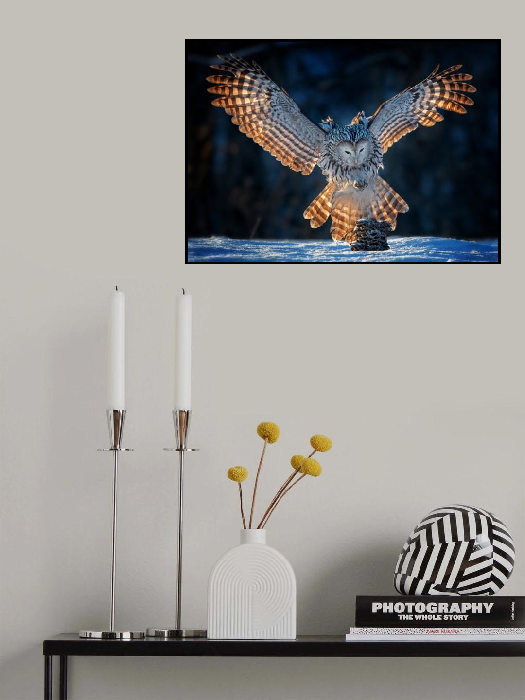 Focus on the aim Poster och Canvastavla