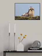 After rain Poster och Canvastavla